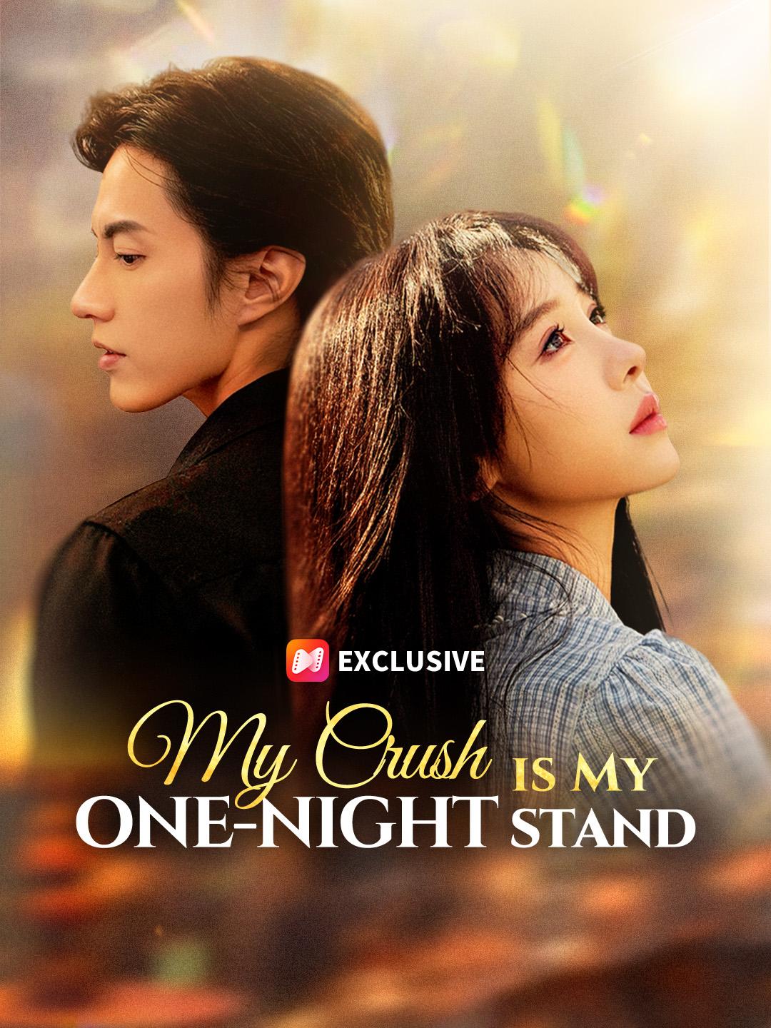My Crush is My One-Night Stand